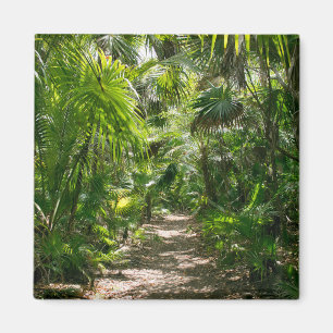 Forests Tropical Rainforest Tulum Mexico Magnet