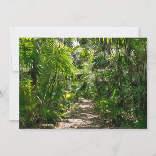 Forests | Tropical Rainforest Tulum Mexico Thank You Card (Front)