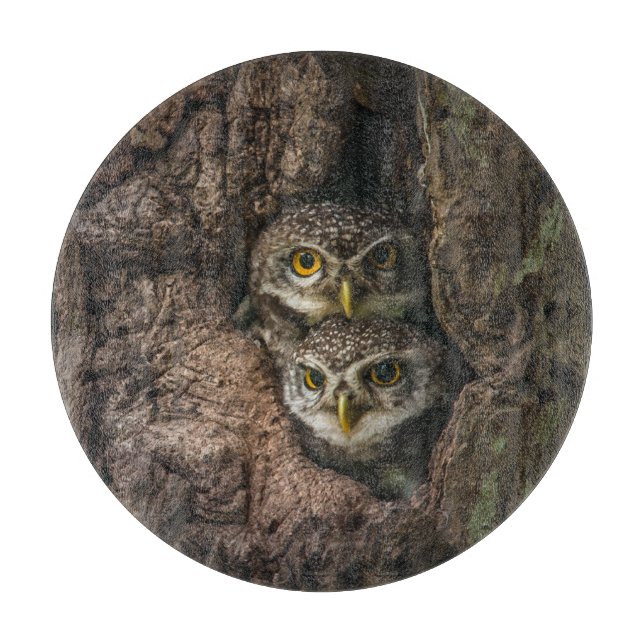 Forests | Two Owls Looking Cutting Board (Front)