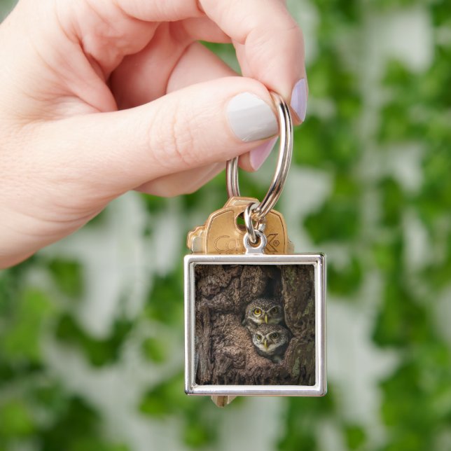 Forests | Two Owls Looking Key Ring (Hand)