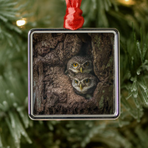 Forests Two Owls Looking Metal Tree Decoration