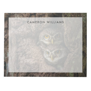 Forests   Two Owls Looking Notepad
