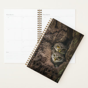 Forests   Two Owls Looking Planner