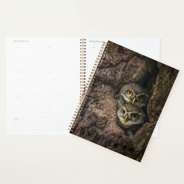 Forests | Two Owls Looking Planner (Display)
