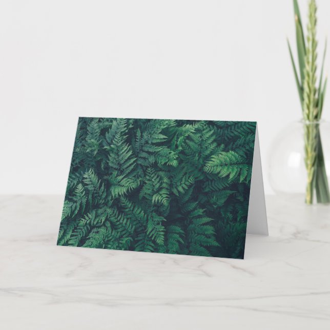 Forests | Woodland Ferns Card (Front)