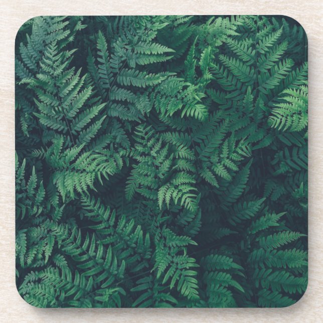 Forests | Woodland Ferns Coaster (Front)