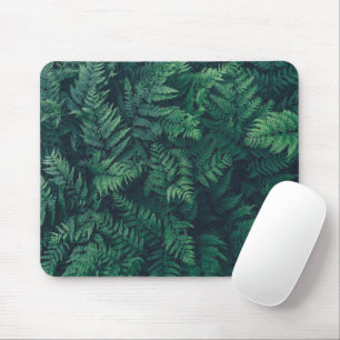 Forests   Woodland Ferns Mouse Pad