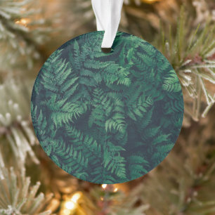 Forests   Woodland Ferns Ornament