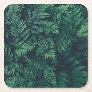 Forests Woodland Ferns Square Paper Coaster