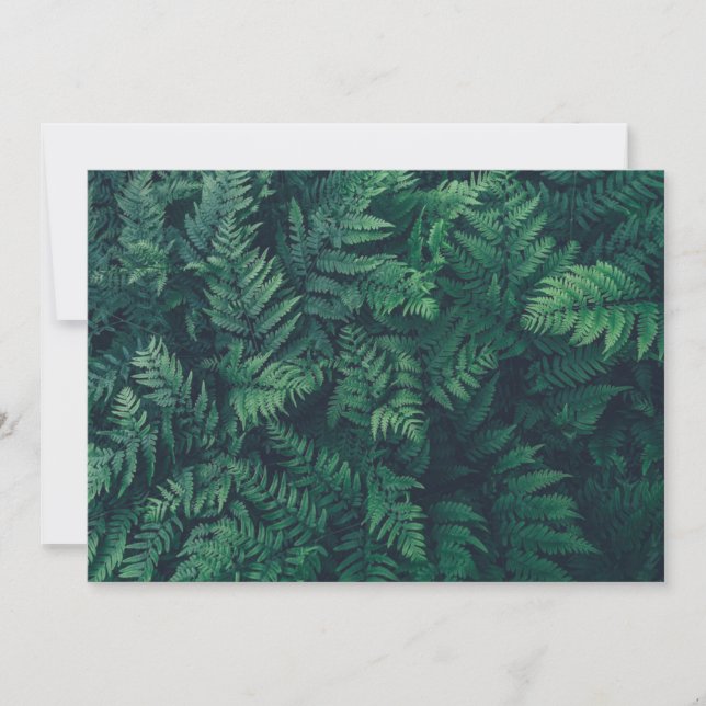 Forests | Woodland Ferns Thank You Card (Front)