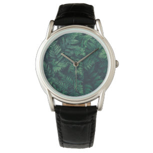 Forests   Woodland Ferns Watch