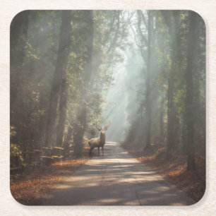 Forests Woodland Stag Square Paper Coaster