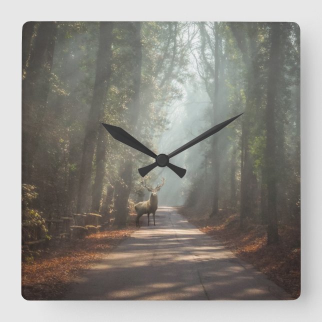 Forests | Woodland Stag Square Wall Clock (Front)