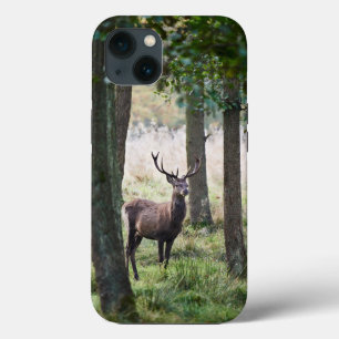 Forests   Woodlands & Red Deer iPhone 13 Case