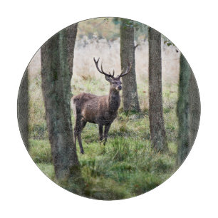 Forests   Woodlands & Red Deer Cutting Board