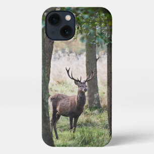 Forests   Woodlands & Red Deer iPhone 13 Case