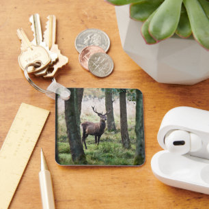 Forests Woodlands & Red Deer Key Ring
