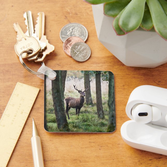 Forests | Woodlands & Red Deer Key Ring (Desk)