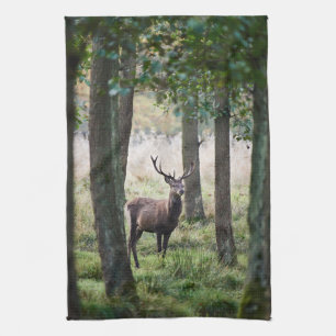 Forests   Woodlands & Red Deer Tea Towel