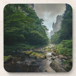 Forests   Zhangjiajie National Forest Park Coaster