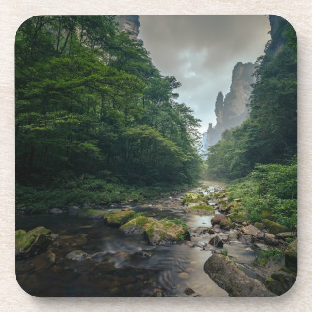 Forests | Zhangjiajie National Forest Park Coaster (Front)