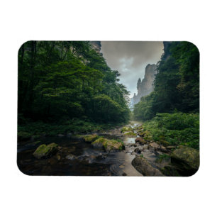 Forests Zhangjiajie National Forest Park Magnet