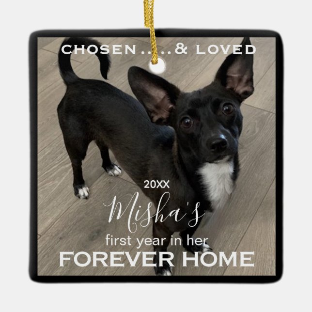 Forever Home Pet Photo  Ceramic Ornament (Front)