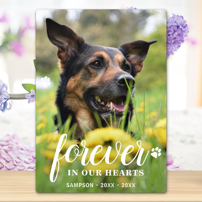 Forever In Hearts Personalised Photo Pet Memorial Plaque (Creator Uploaded)