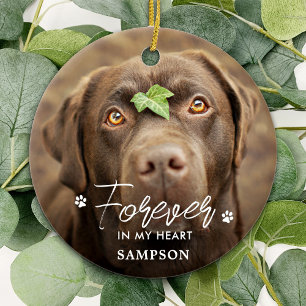 Forever in my Heart - Paw Prints Pet Dog 2 Photo Ceramic Tree Decoration