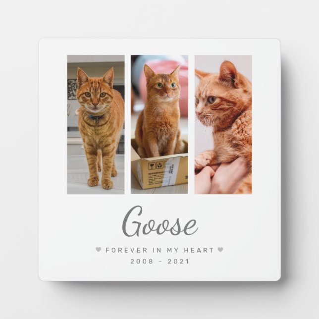 Forever in my heart Pet Memorial Gift Personalised Plaque (Front)