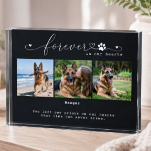Forever in Our Hearts Black Pet Memorial 3 Photo Block