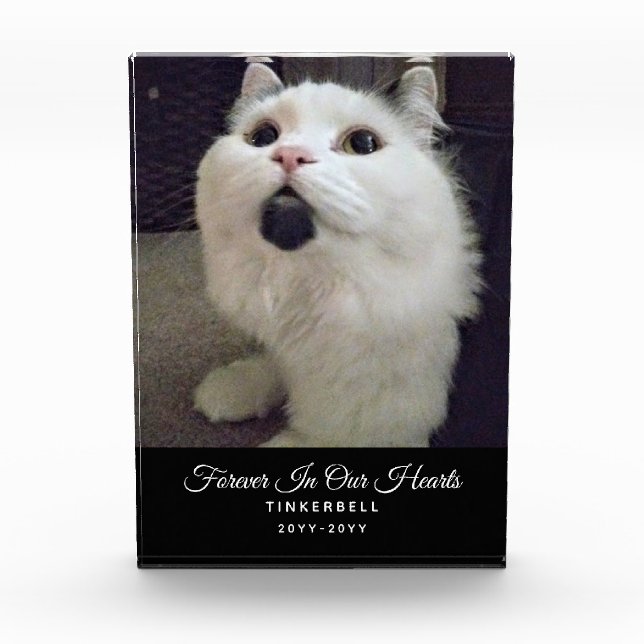 Forever In Our Hearts Cat Memorial Pet Photo Name Block (Front)