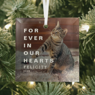 Forever in Our Hearts Custom Cat Photo Memorial Glass Tree Decoration