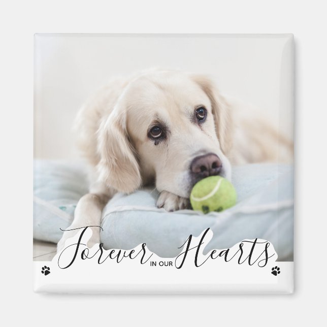 Forever in our Hearts Dog Pet Memorial Magnet (Front)