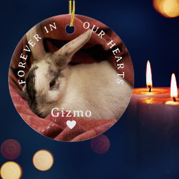 Forever In Our Hearts Personalised Pet Memorial Ceramic Tree Decoration