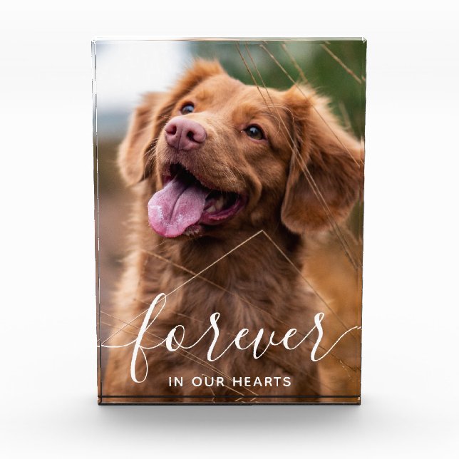 Forever in our Hearts Pet Memorial Dog Photo Block (Front)