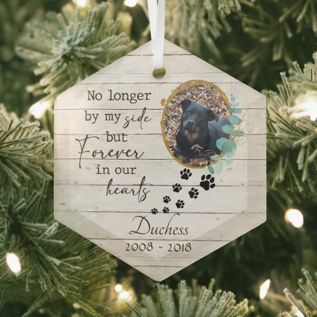 Forever in Our Hearts Pet Memorial Glass Tree Decoration (Insitu)