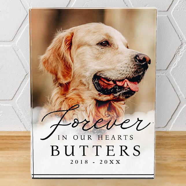 Forever in our Hearts Pet Memorial Modern Photo Block (Creator Uploaded)