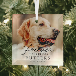 Forever in our Hearts Pet Memorial Modern Photo Glass Tree Decoration