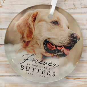 Forever in our Hearts Pet Memorial Modern Photo Glass Tree Decoration