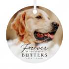 Forever in our Hearts Pet Memorial Modern Photo