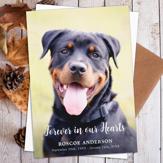 Forever In Our Hearts Pet Memorial Modern Photo Thank You Card (Creator Uploaded)