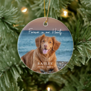 Forever in our Hearts Pet Memorial Name Photo Ceramic Tree Decoration