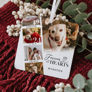 Forever in Our Hearts Pet Memorial Photo Keepsake Metal Tree Decoration
