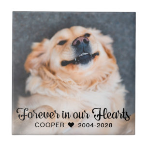 Forever in our Hearts Pet Memorial Photo Plaque Tile