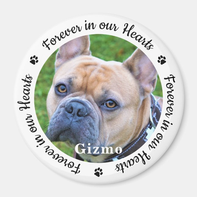 Forever In Our Hearts Photo Pet Dog Memorial Magnet (Front)