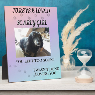 Forever Loved Gradient Pet Memorial Tribute Plaque