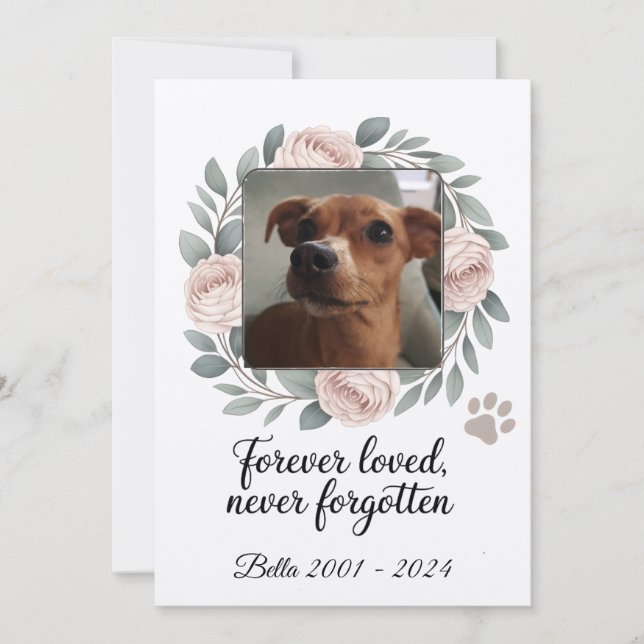 Forever Loved, Never Forgotten Pet Memorial Thank You Card (Front)