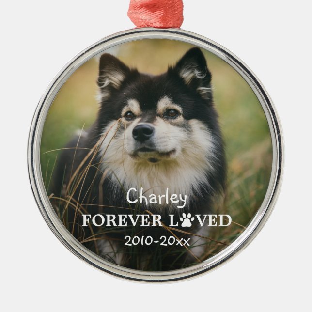 Forever Loved Paw Print Pet Photo Metal Tree Decoration (Front)