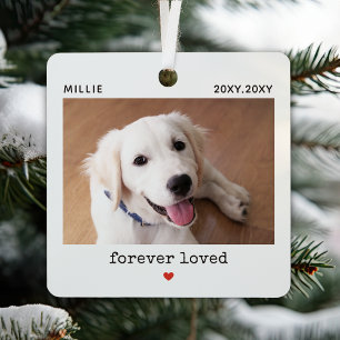 Forever Loved Pet Photo Name Memorial Metal Tree Decoration